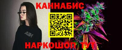 гашик Жуковский
