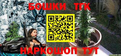 гашик Жуковский