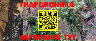 гашик Жуковский