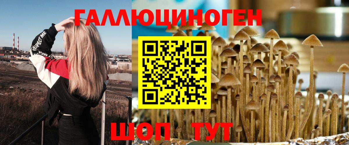 Псилоцибиновые грибы MAGIC MUSHROOMS  Галлюциногенные грибы MAGIC MUSHROOMS  Истра  наркошоп  Вход с VPN 
