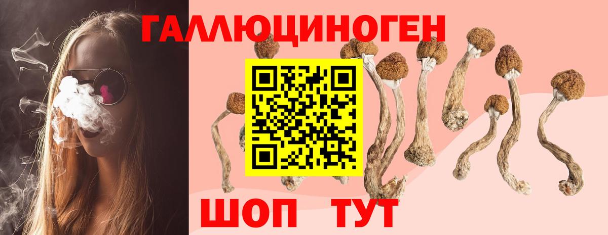 Псилоцибиновые грибы GOLDEN TEACHER Истра